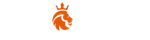 Logo Nine Casino